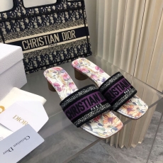 Christian Dior Slippers